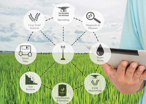Skills shortage in the agritech sector holding back IoT innovation