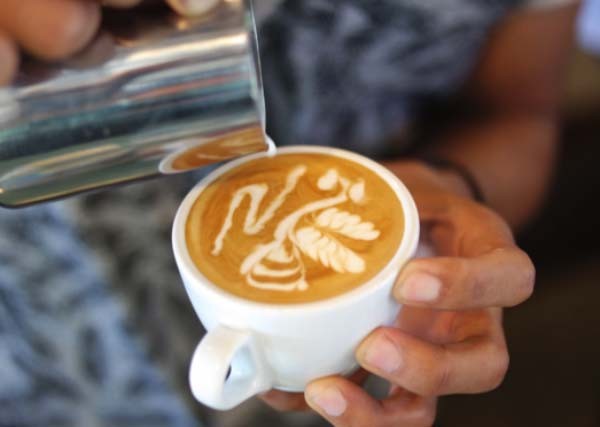 Telkom dan BepahKupi bikin blockchain untuk telusuri produk kopi