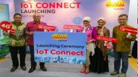 Indosat Ooredoo Business perkuat layanan IoT
