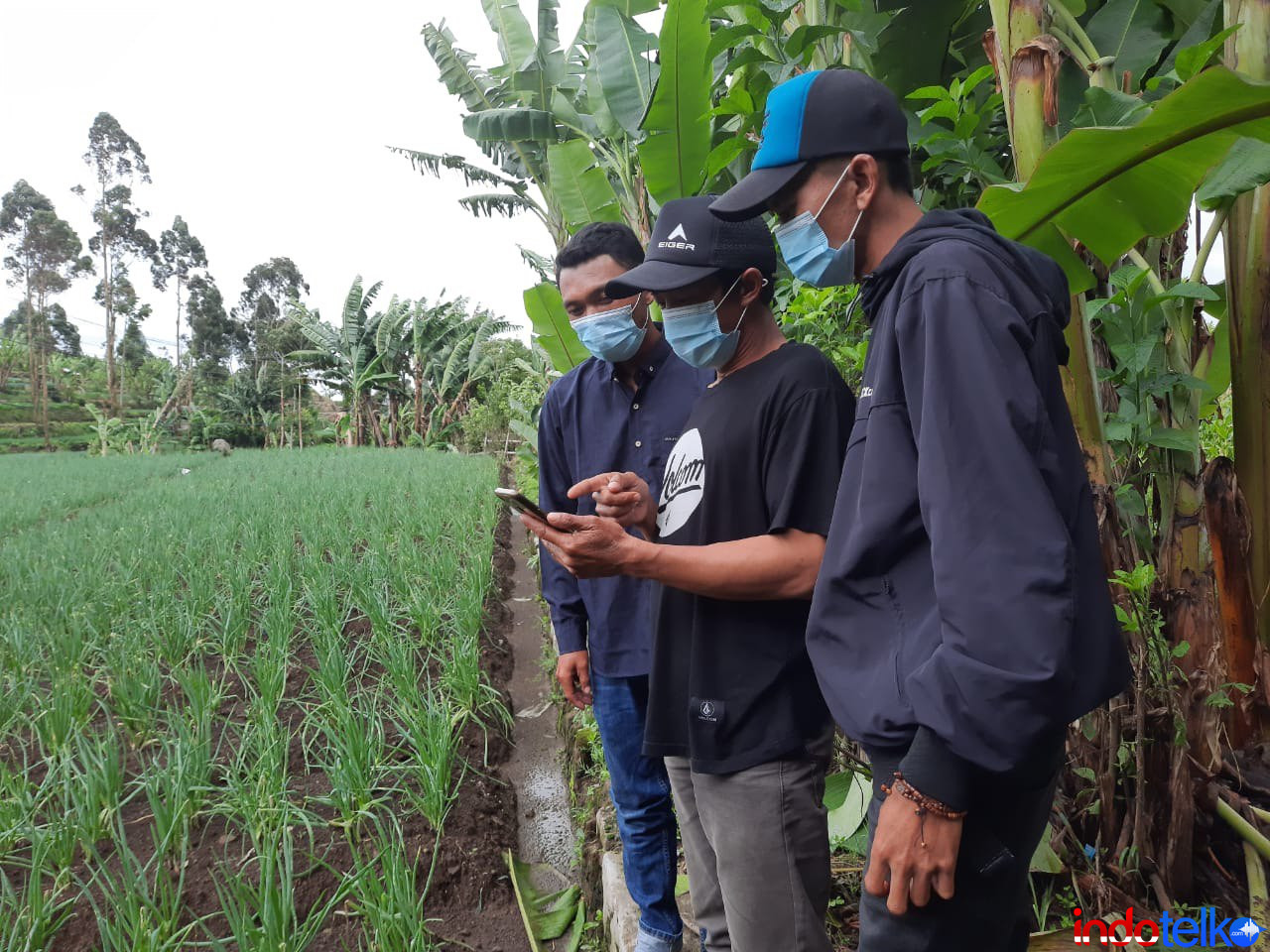 Strategi Syngenta Indonesia bantu petani saat pandemi