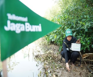 Telkomsel Jaga Bumi tanam 15.060 pohon di kawasan Mangrove