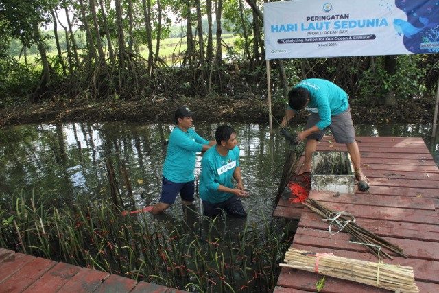 eFishery dan BRPBAP3 Maros tanam 1.500 mangrove