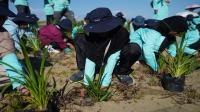 TMU dukung program konservasi dan edukasi lingkungan sejak usia dini