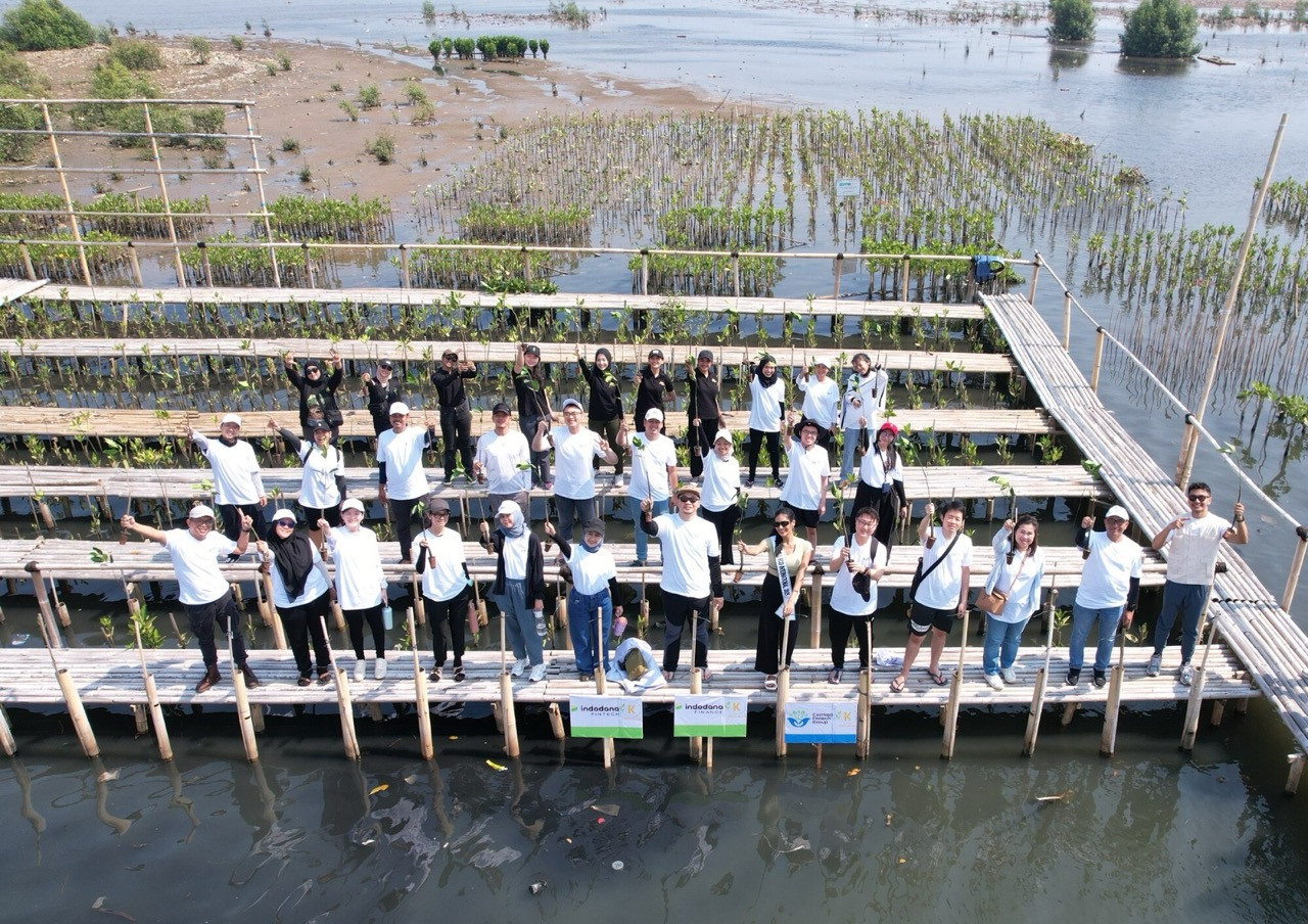 Tanam bibit mangrove, Cermati sambut hari habitat sedunia