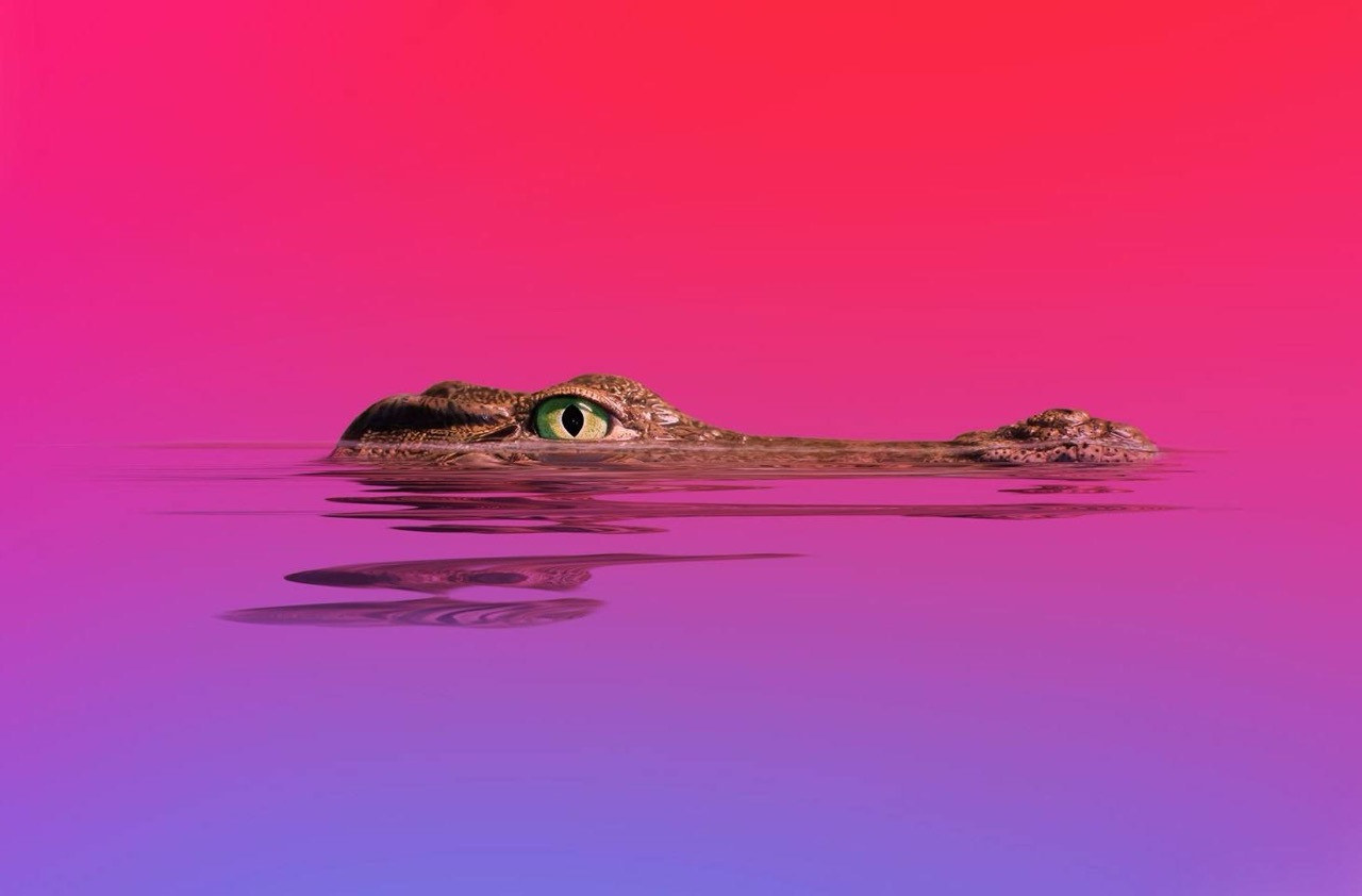 Spam SEO dan tautan tersembunyi jadi ancaman baru bagi situs bisnis