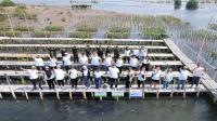 Tanam bibit mangrove, Cermati sambut hari habitat sedunia