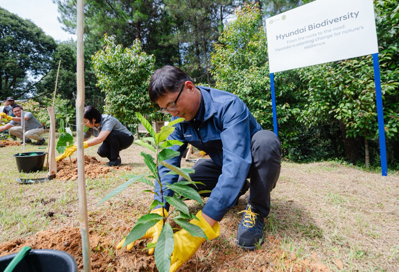 HMMI tanam pohon endemik di program Hyundai Biodiversity