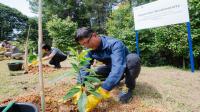 HMMI tanam pohon endemik di program Hyundai Biodiversity