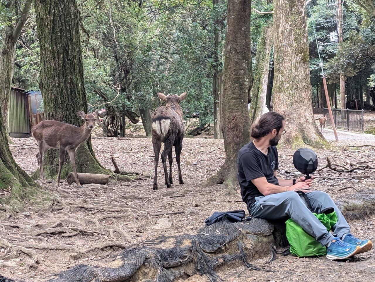 Sound designer Arnaud Noble andalkan mikrofon kondensor RF Sennheiser
