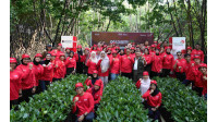 Telkomsel ubah langkah lari jadi ribuan akar mangrove di Digiland Run 2026