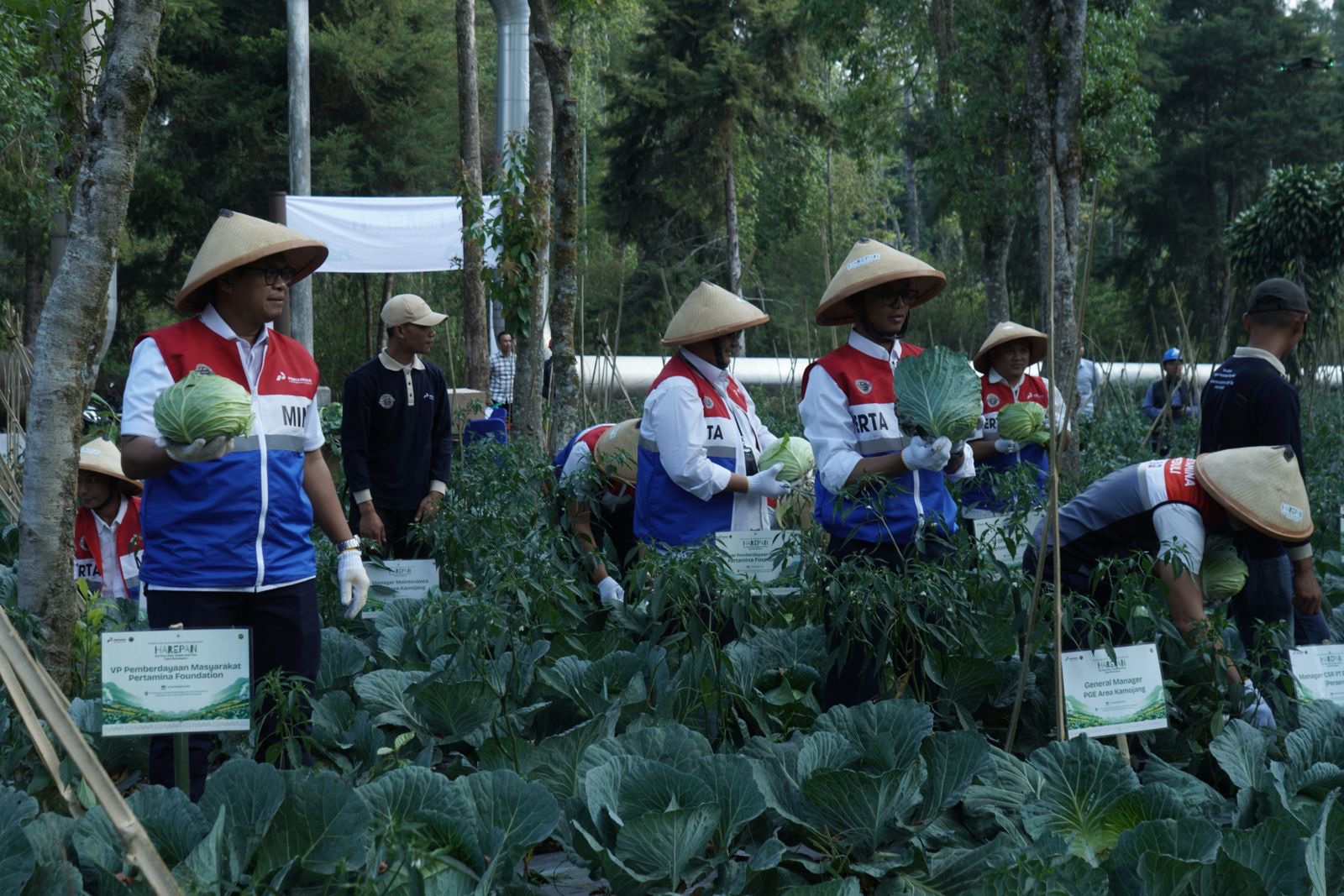 GeO-Fert PGE tingkatkan produktivitas petani Kamojang
